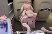 8868体育app下载-“穷养女真可怜”，买10分钟商务坐拍了9分钟，鞋子让人无语